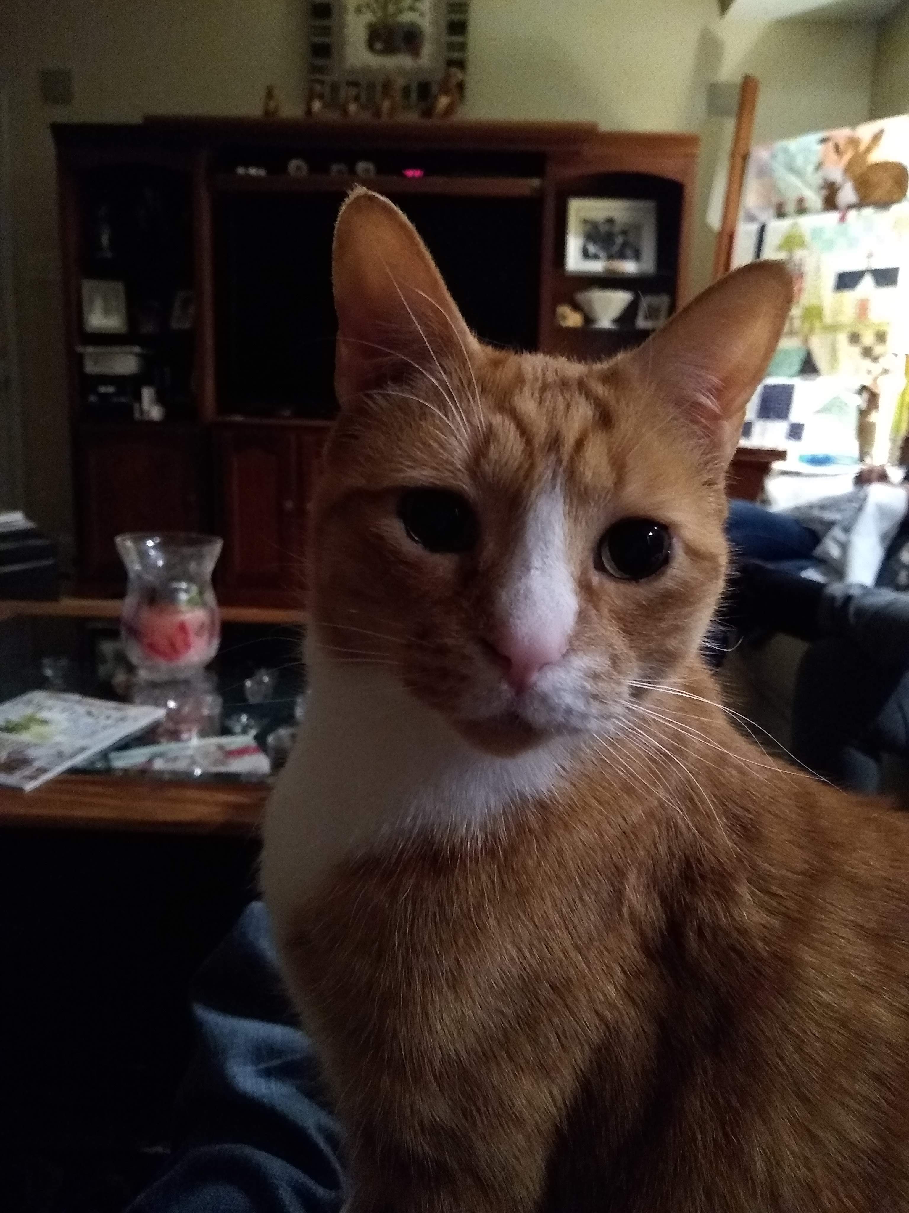 dubstare.jpg