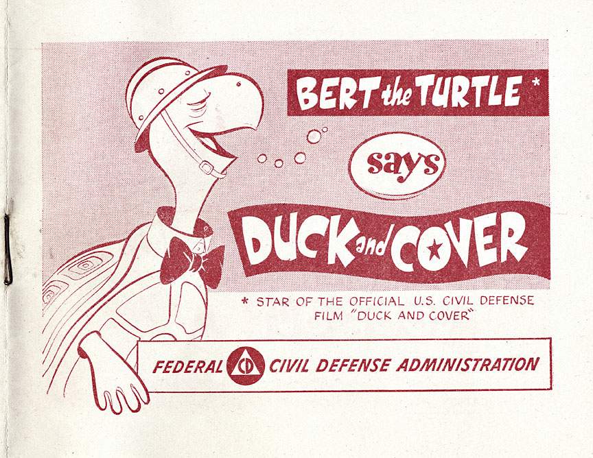 duck and cover turtle.jpg