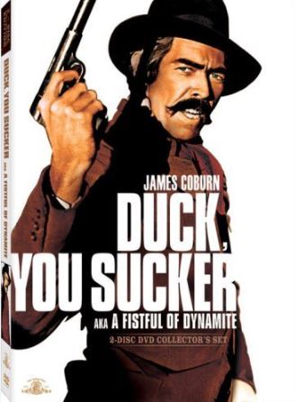 duck.JPG