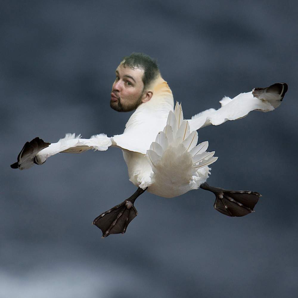 Duck.jpg