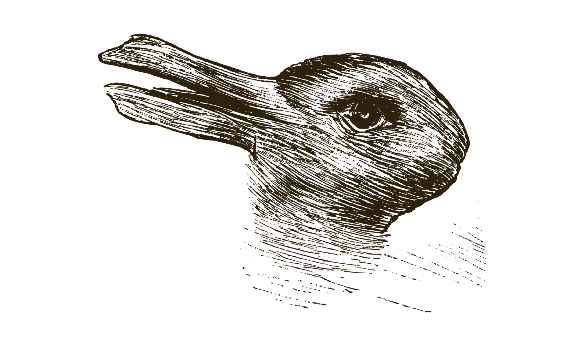 duck-rabbit.png