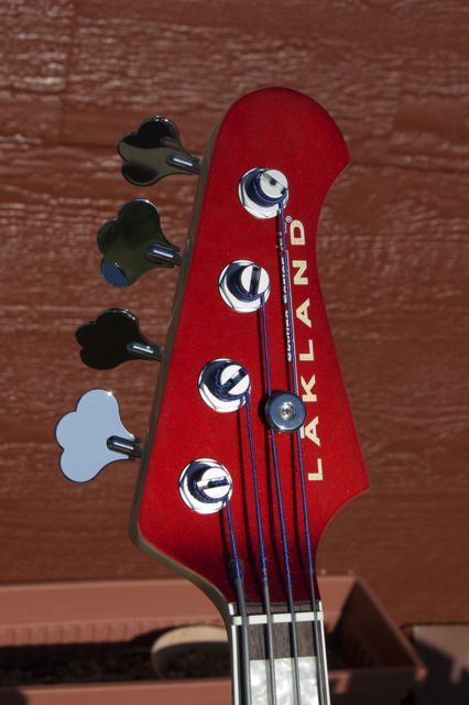 DuckHead2.jpg