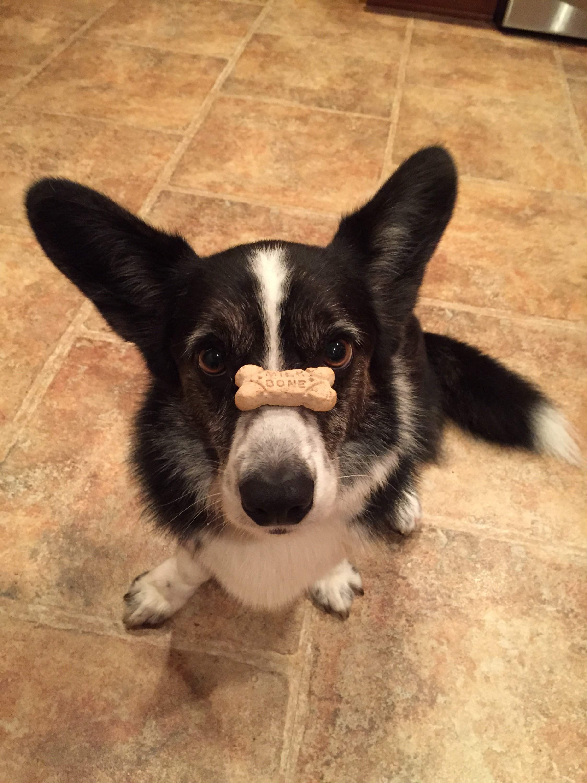 DuckyBone.JPG