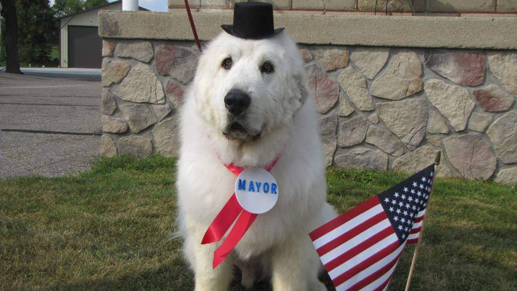 dukemayor_thumb-1735297656.jpeg