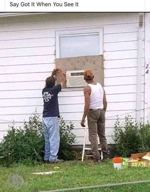 dumb and dumber.jpg