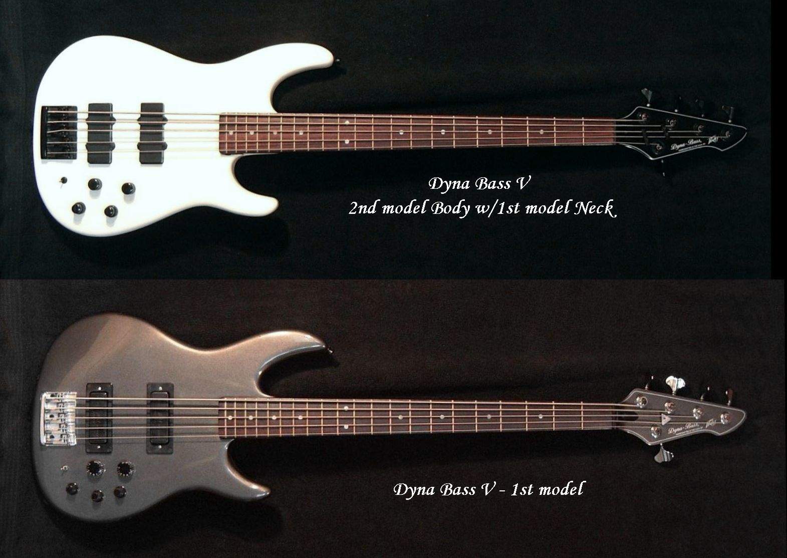 Dyna Bass V-Panorama.jpg