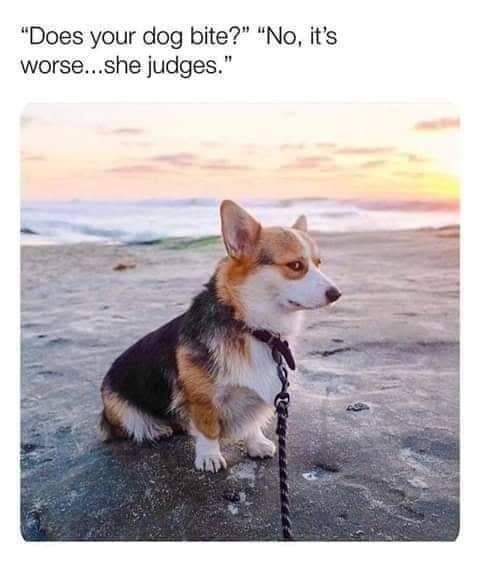 E161779E-D23E-4E96-817F-5811E3803E2C.jpeg