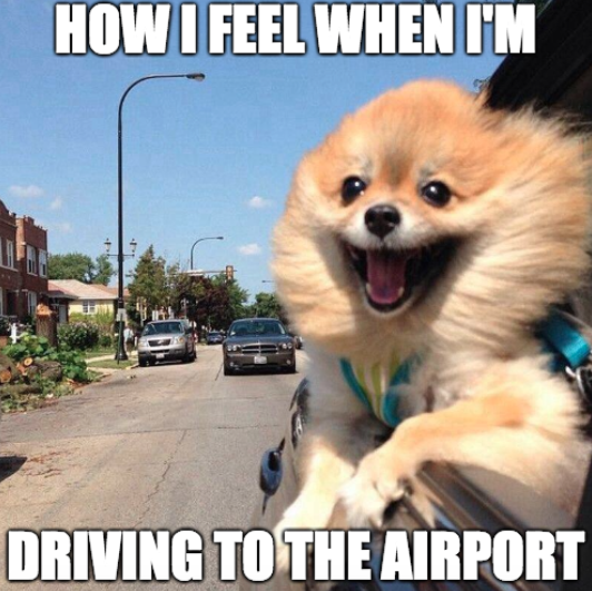e2772f5eeb203e777e2ed8a35d8eb9b2-1095326415.png