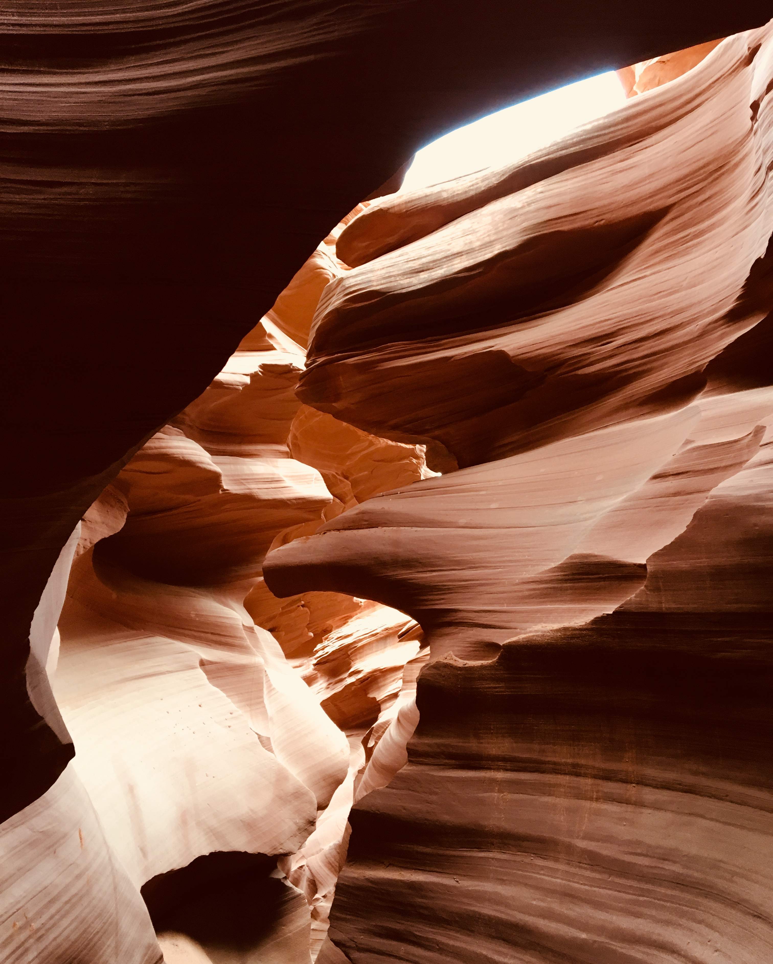 E30B4E2B-2AB7-40A3-894E-3E7134E3DE9F.jpeg