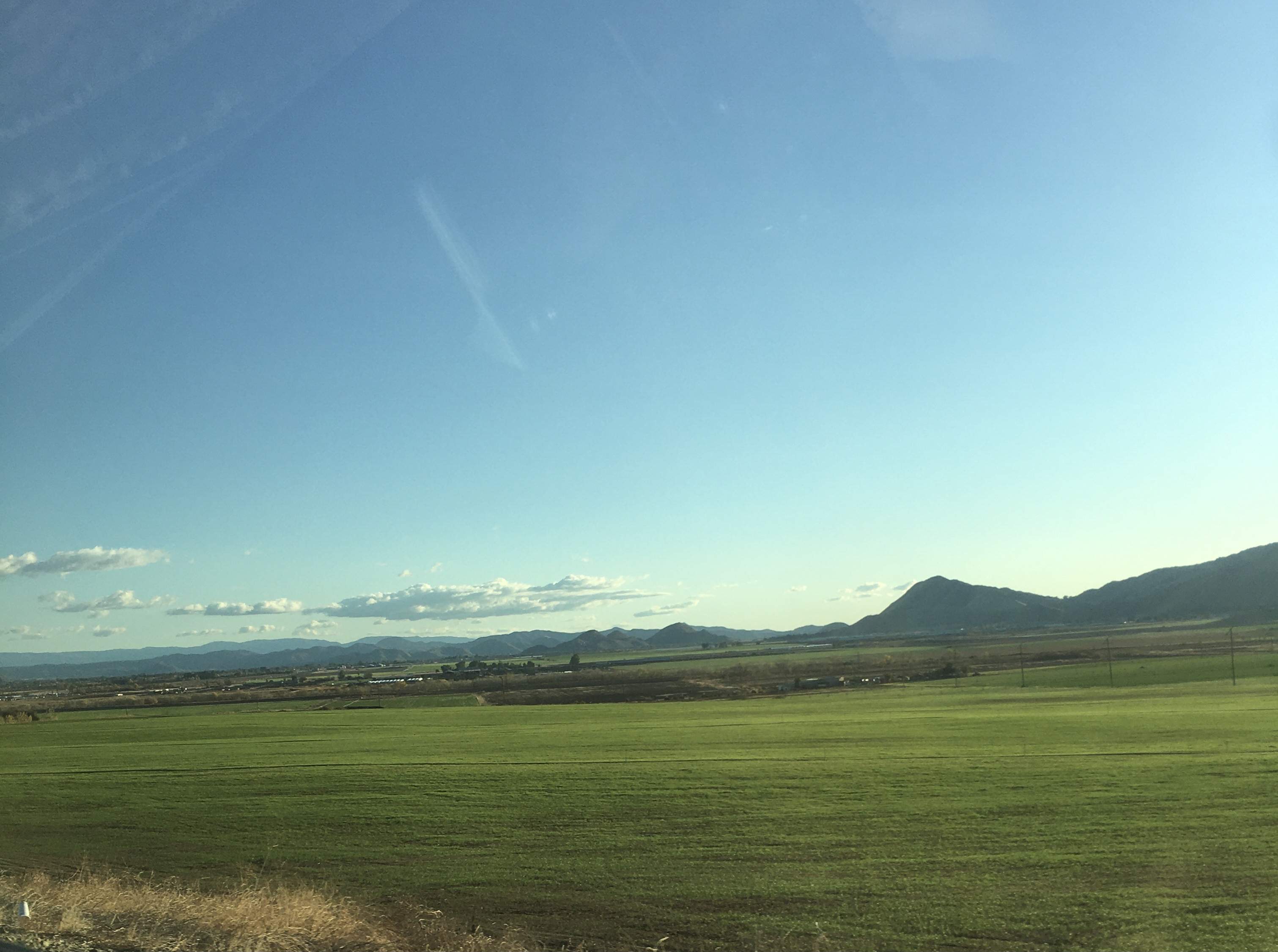 E3133D6E-EA80-420D-96C8-46518794AE2C.jpeg