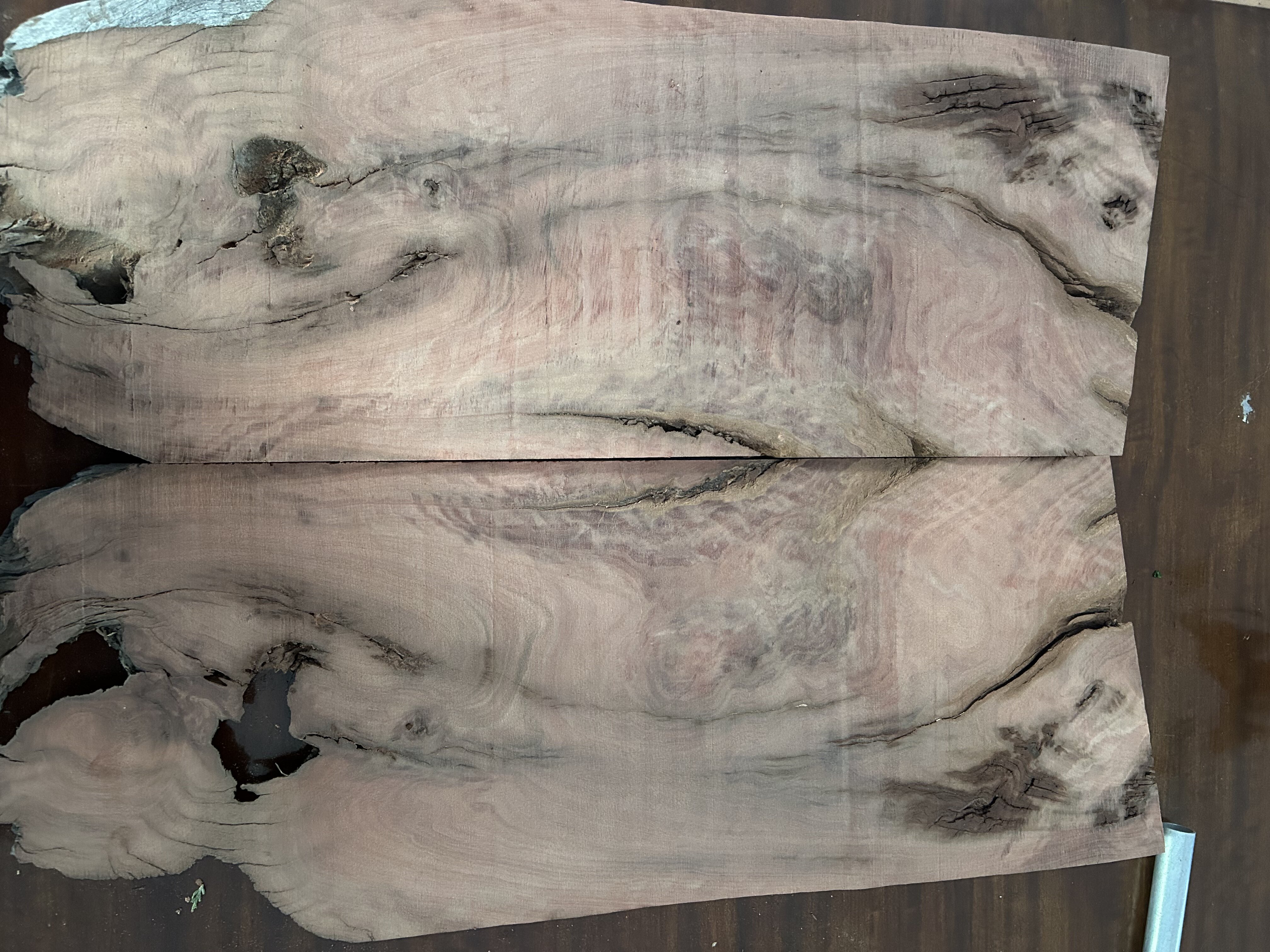 E4A46748-C91E-47E3-99D7-634B4C1BE05F.jpeg