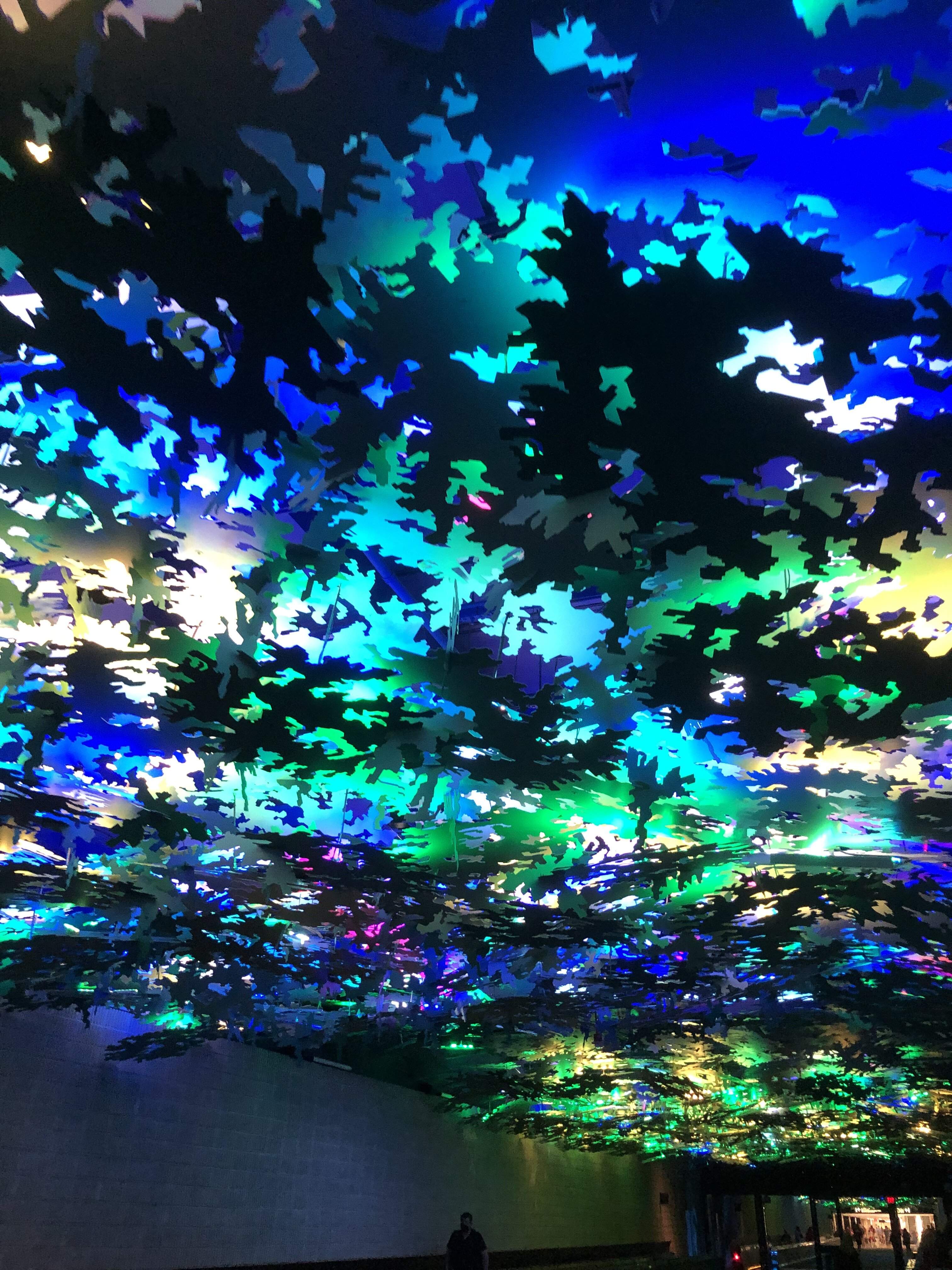 E4C0C8E4-AE4F-4B67-87FE-D14150EDB35B.jpeg