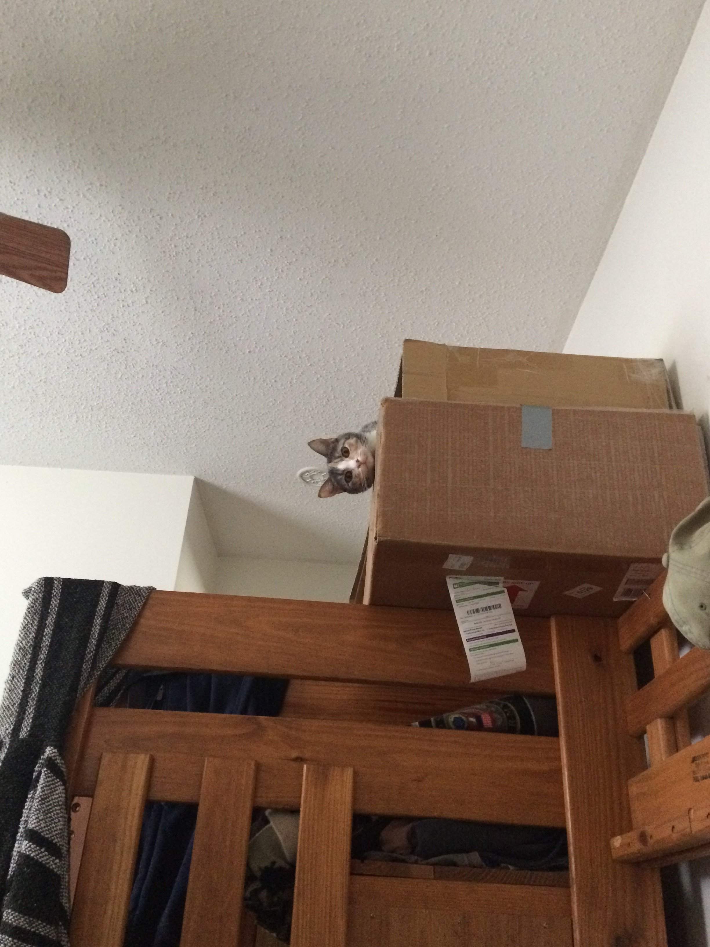 E6C721F7-E024-45F0-8015-F5830305D689.jpeg