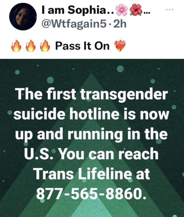 E72C9778-F0C4-486B-9BC7-C9A9270AAD9C.jpeg
