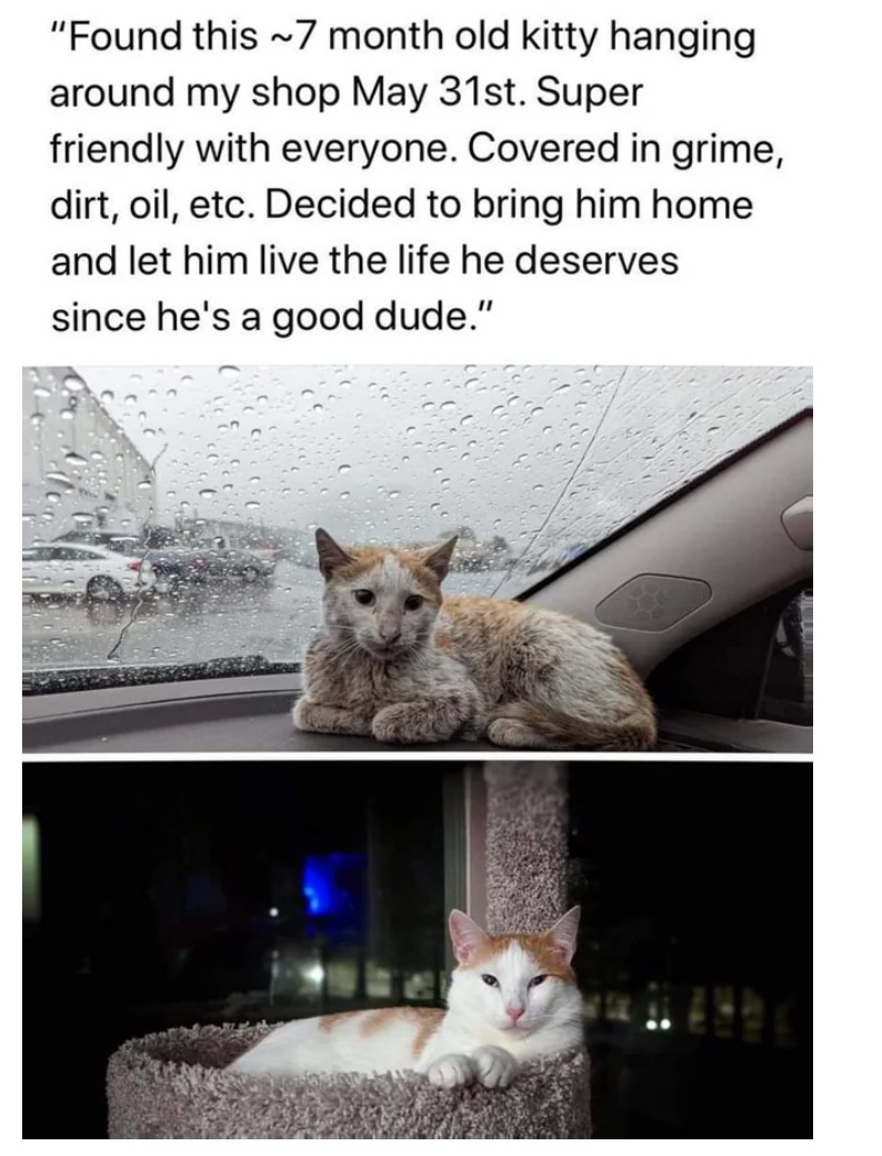E872E770-0E8B-4650-BB79-58471059CF78.jpeg