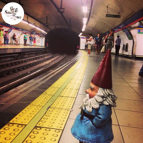 e8cac2d714e7d5e3d0a0ba8e7a3bde87--amelie-gnomes.jpg