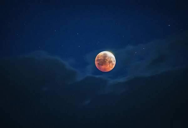 EAA1A7C2-E92C-4AC2-B536-E629BB637EE9.jpeg