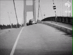 EasygoingConsiderateDassie-max-1mb.gif