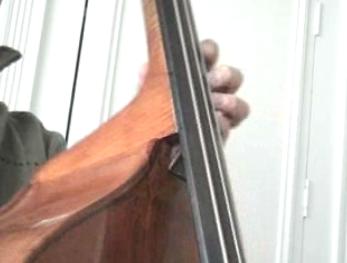 Eb%2BNeck.jpg
