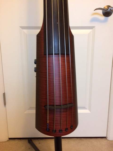 ebass4.JPG