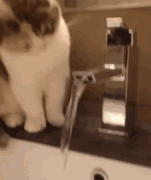EBBD73C9-ED85-40D8-8BF8-E9856018BB47.gif
