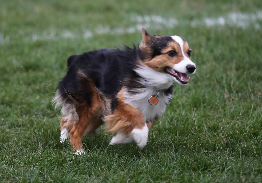 EBEB976D-D519-473E-BD38-6501D61F00CF.jpeg