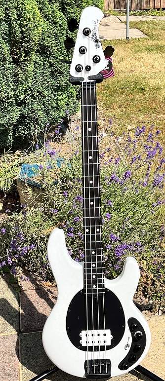 EBMM Darkray White Sparkle.jpg
