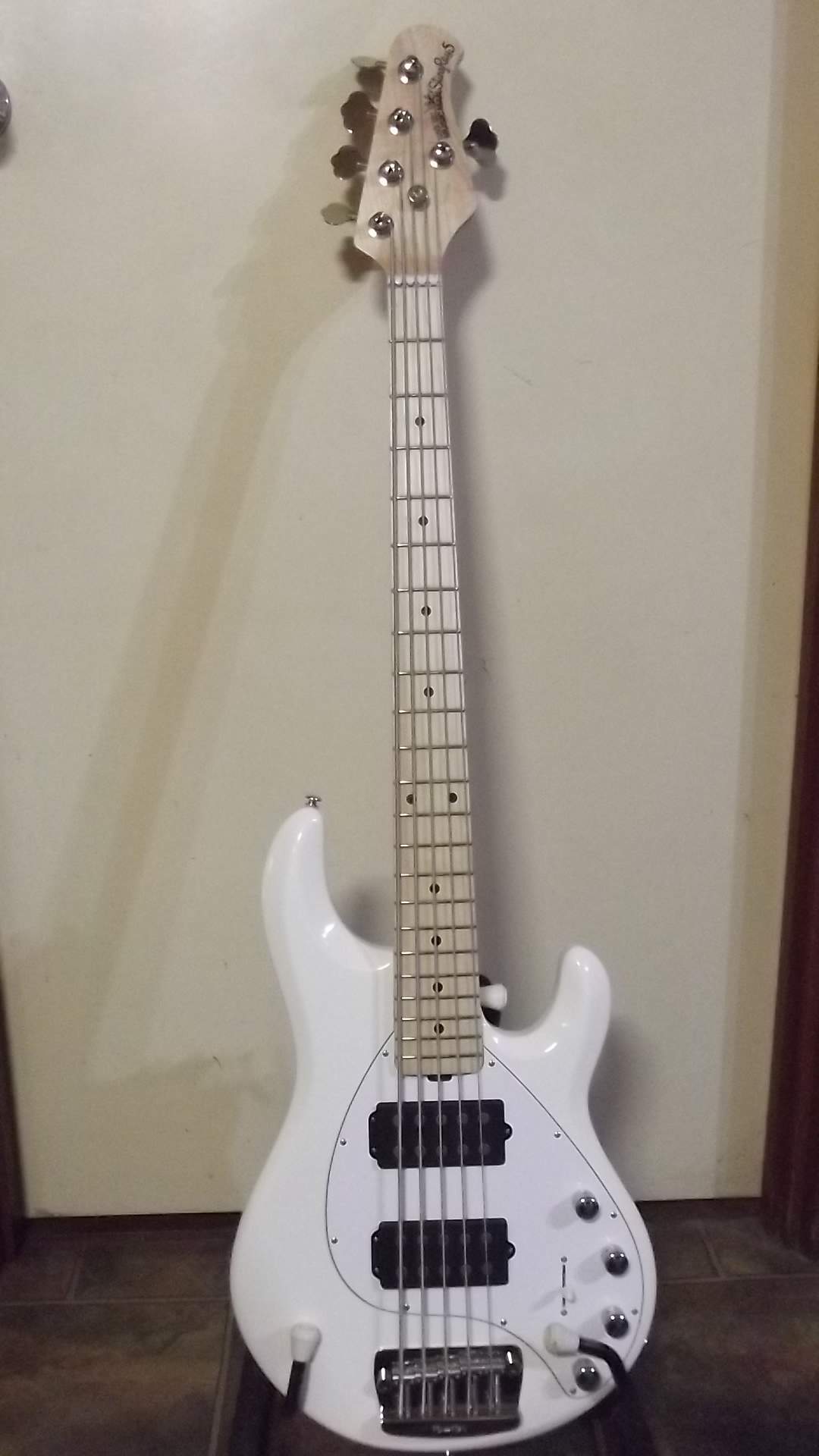 EBMM SR5 Stingray5.JPG