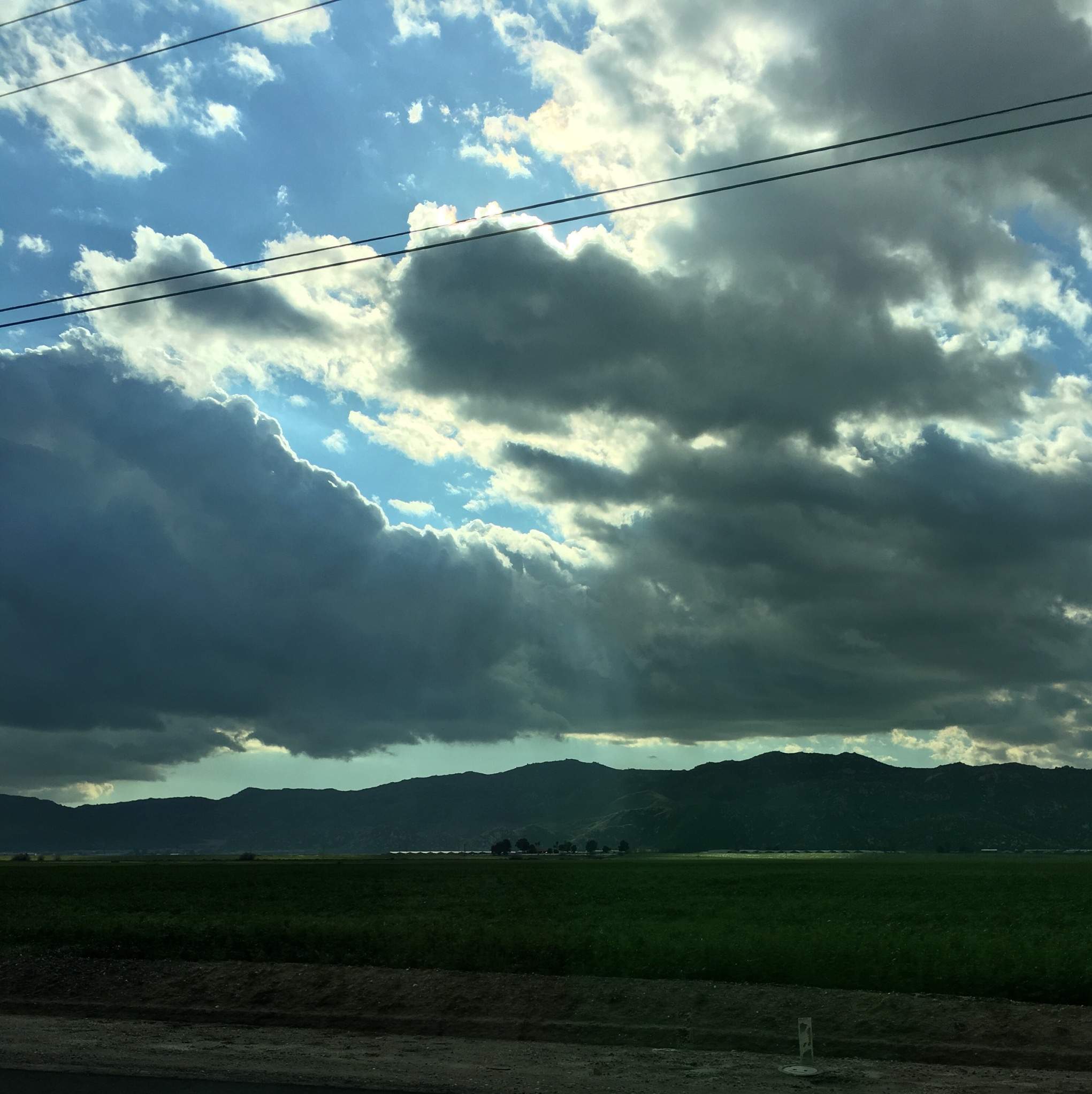 ECE0A5E8-7400-41BF-BC22-28A53329BB78.jpeg