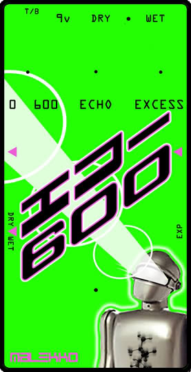 ECHO60012.8.jpg