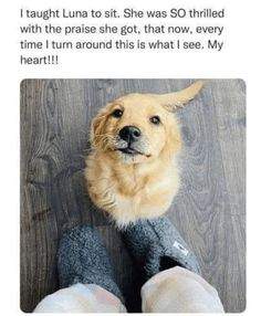 EE518C1D-0002-4D45-A71D-5F9D8862D4FF.jpeg