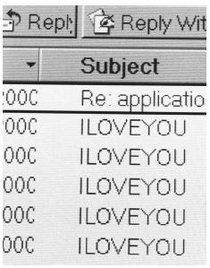 eeis_01_img0265.jpg