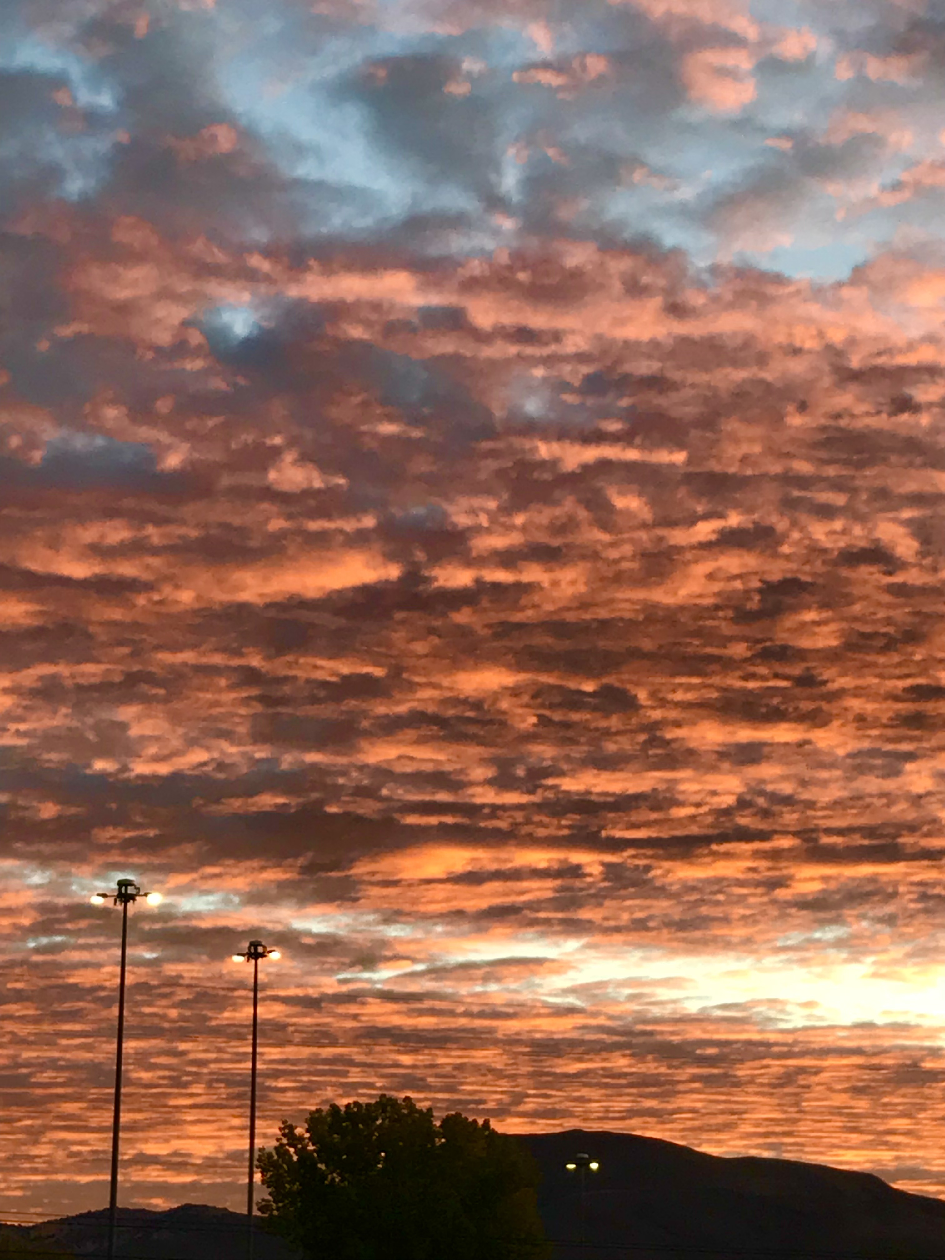 EFDD474E-361D-4A0E-A733-8986A2EE9DDA.jpeg