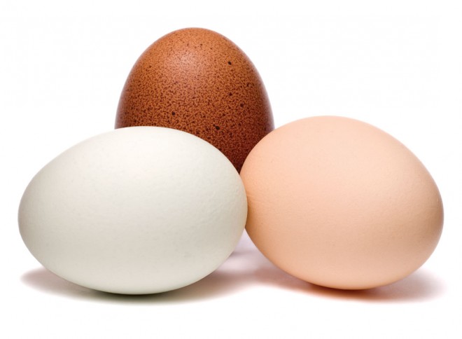Egg.jpg
