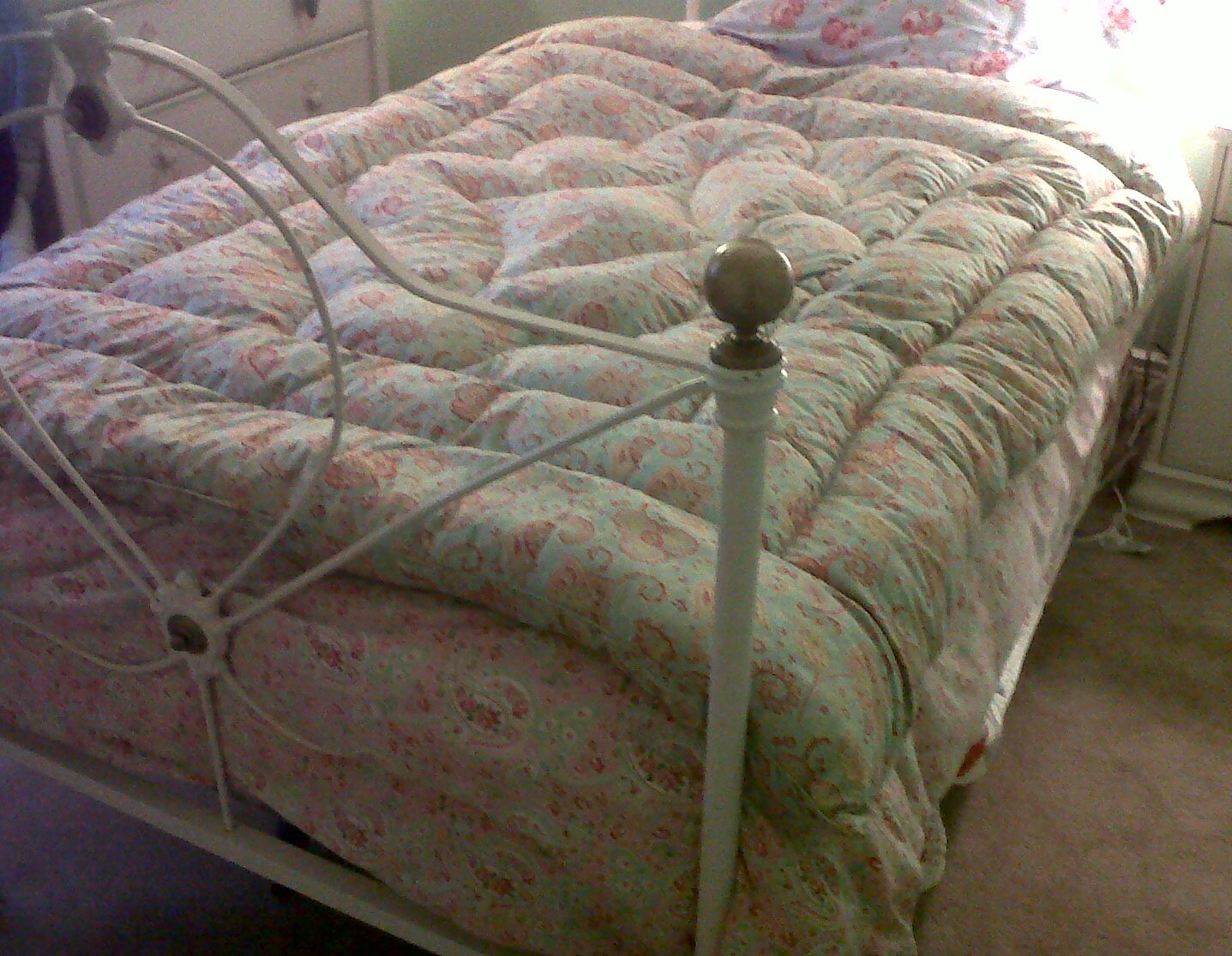 eiderdown.jpg