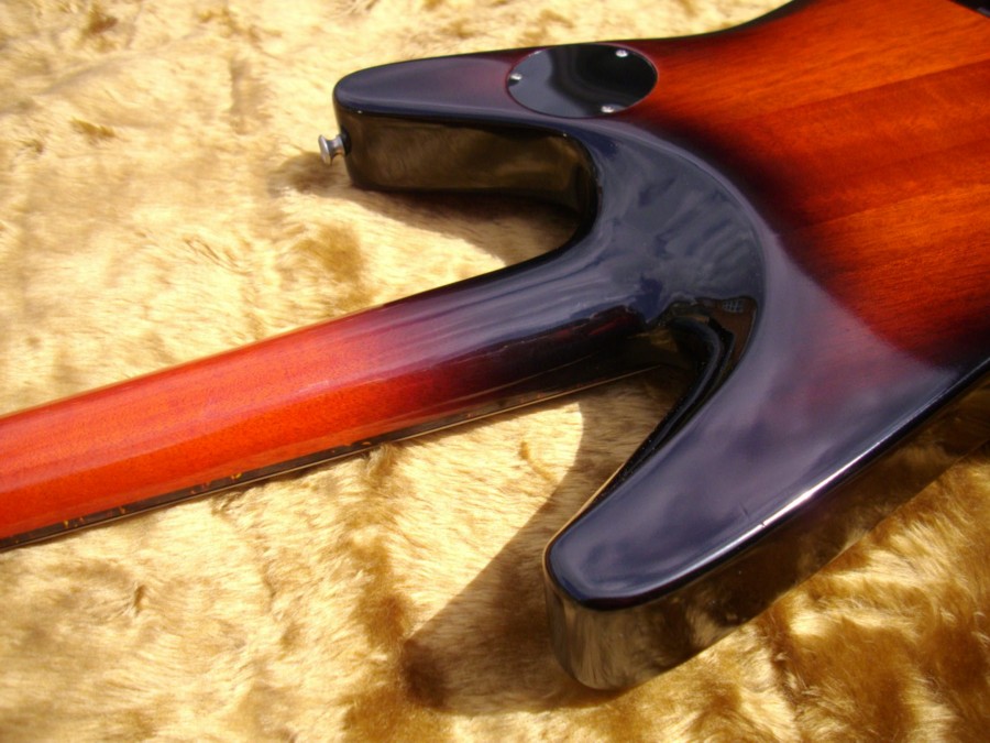 Electra+neck+joint.jpg