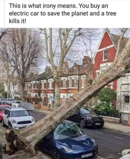 electric car tree.jpg