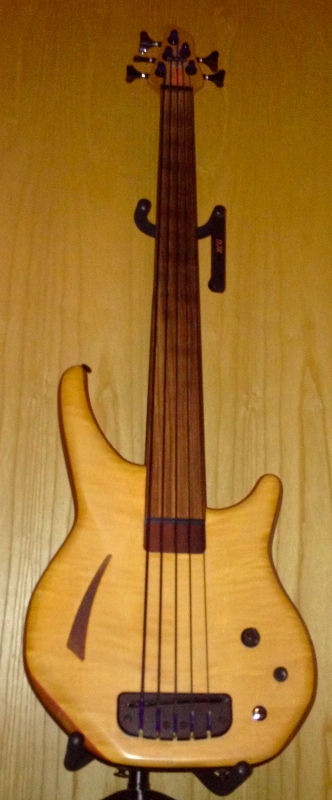 Electro_0474_crop_800.jpg
