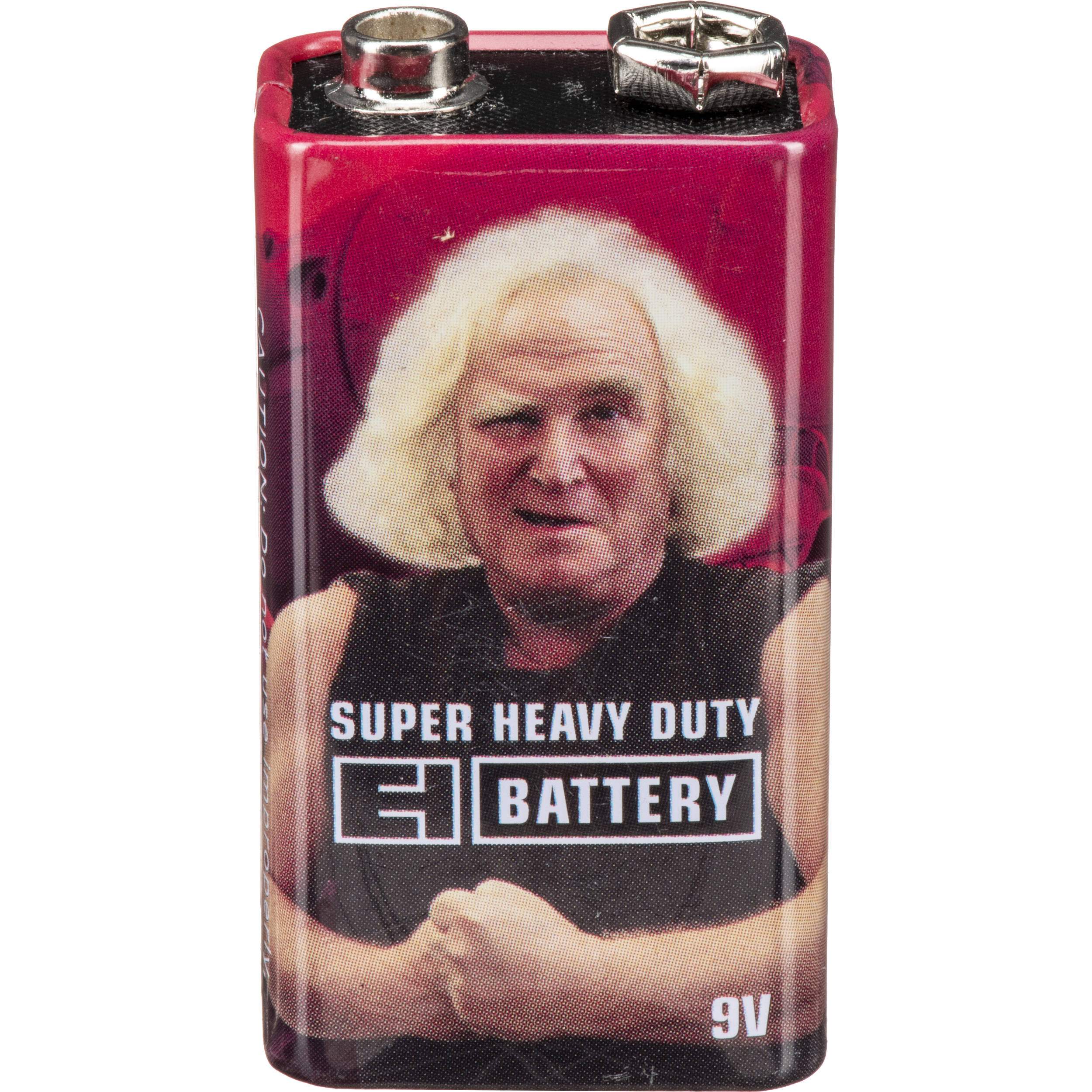 electro_harmonix_9_volt_vintage_style.jpg