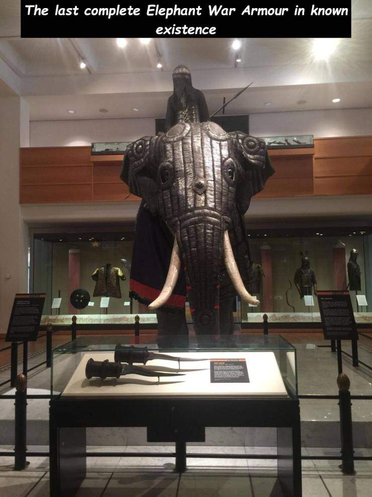 elephant armor.jpg