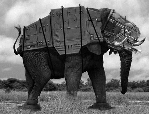 Elephantatat.jpg