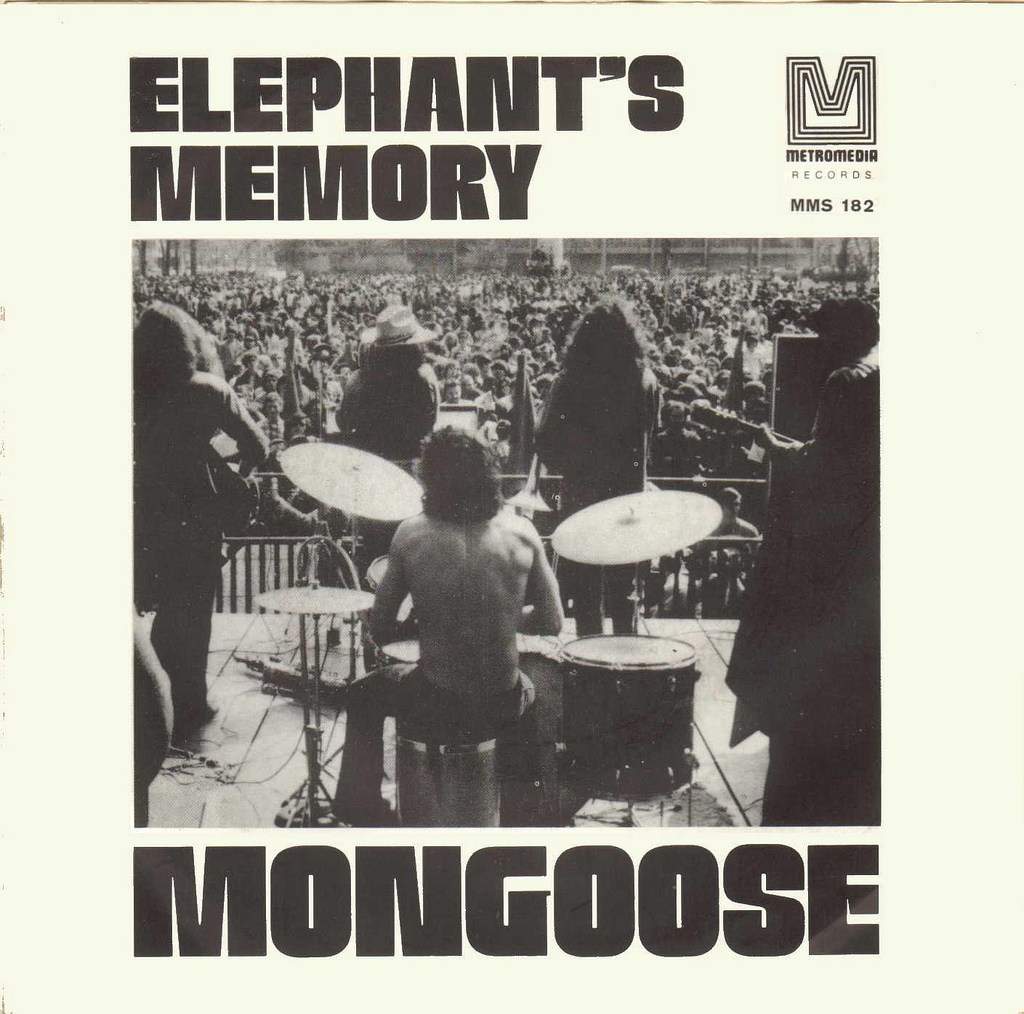 elephants-memory-mongoose.jpg