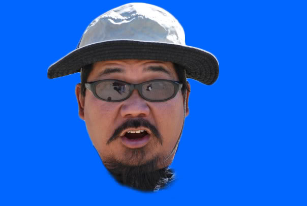 elgecko.jpg