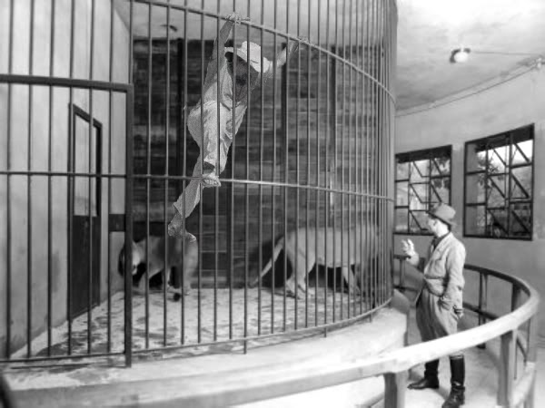 elgeckolioncage.jpg