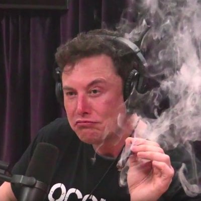 ELON MUSK.jpg