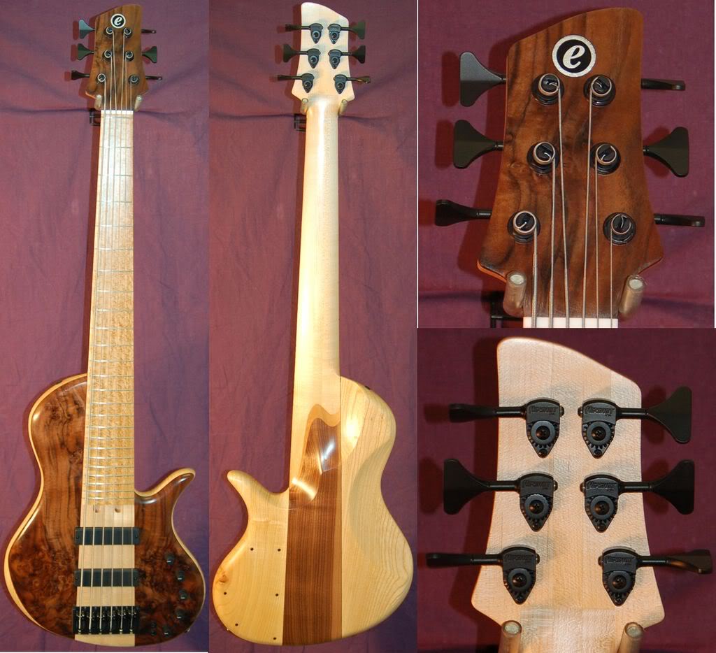 Elrick_evo_6string_singlecut_burled.jpg