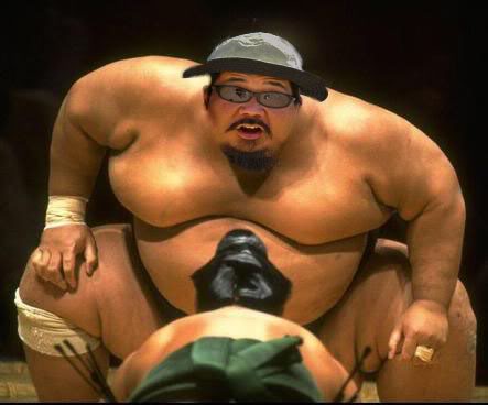 elsumo.jpg