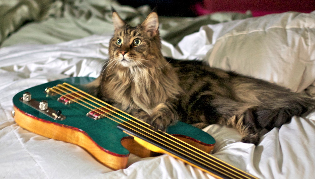 elvis-bass01.jpg
