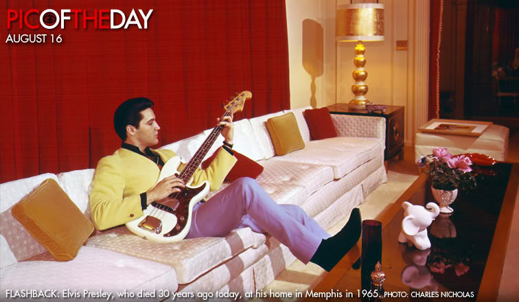Elvis.jpg