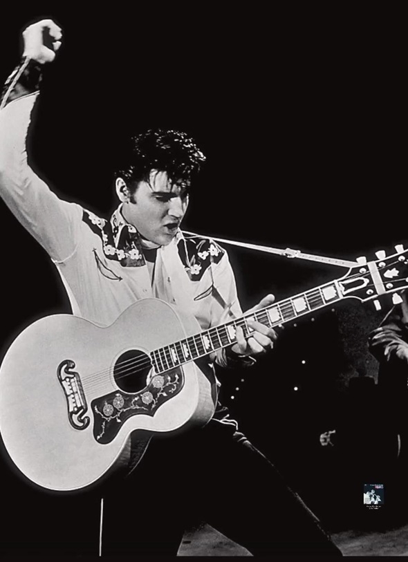 Elvis P.jpg